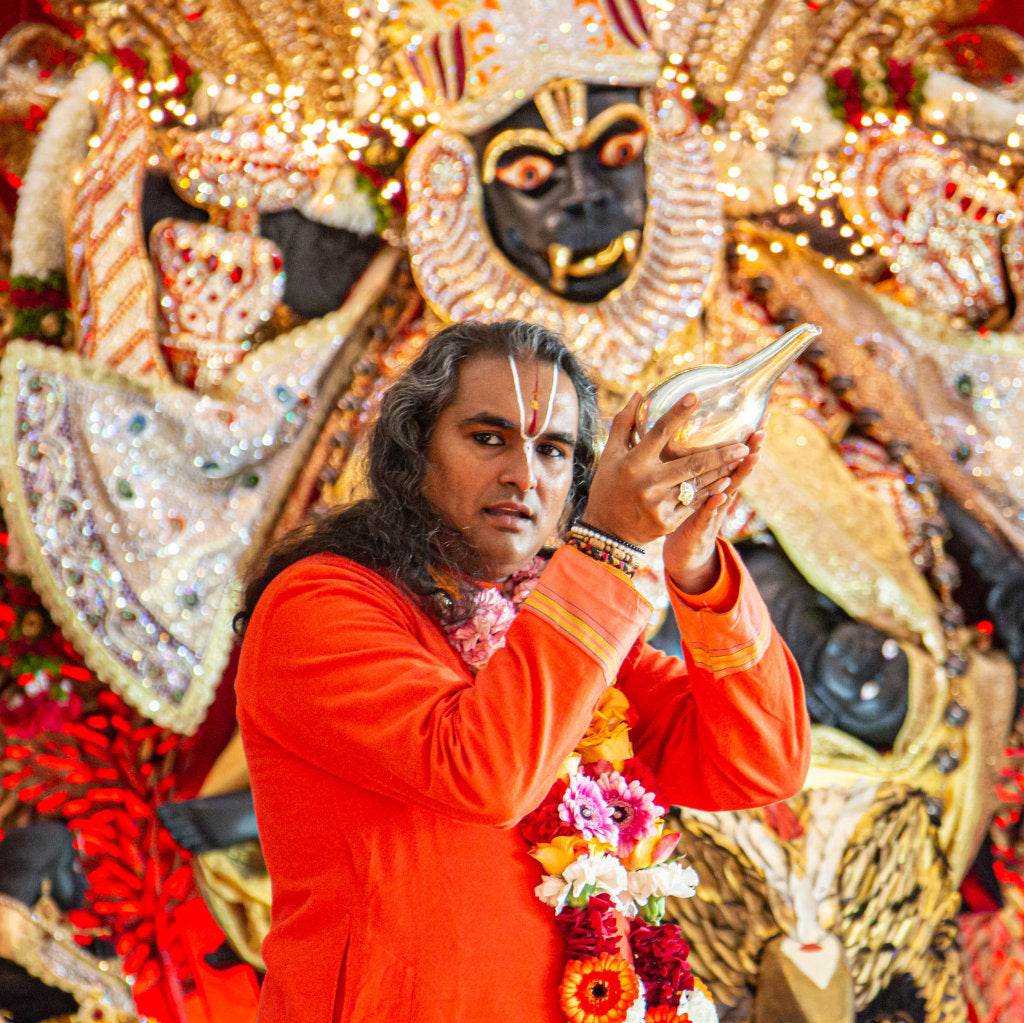 SPEND YOUR HOLIDAYS WITH PARAMAHAMSA VISHWANANDA